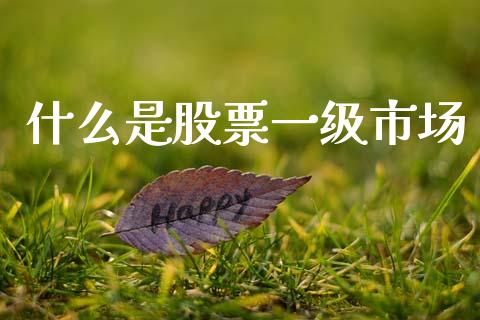 什么是股票一级市场_https://m.lcpcjs.com_期货交易_第1张