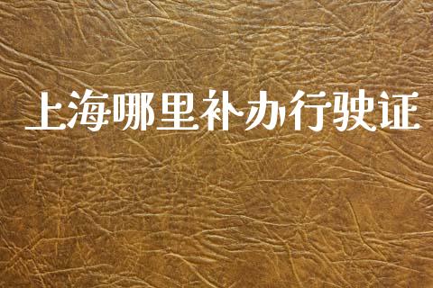 上海哪里补办行驶证_https://m.lcpcjs.com_恒指期货保证金_第1张