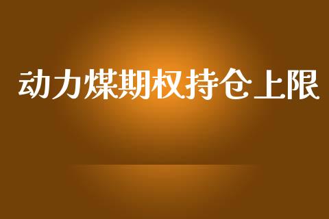 动力煤期权持仓上限_https://m.lcpcjs.com_白银期货保证金_第1张