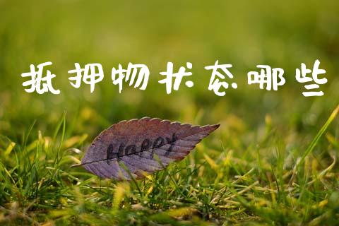 抵押物状态哪些_https://m.lcpcjs.com_恒指期货保证金_第1张