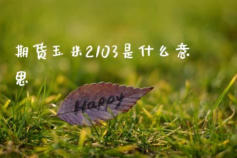期货玉米2103是什么意思_https://m.lcpcjs.com_期货交易_第1张
