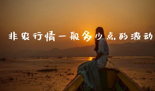 非农行情一般多少点的波动_https://m.lcpcjs.com_期货交易时间_第1张