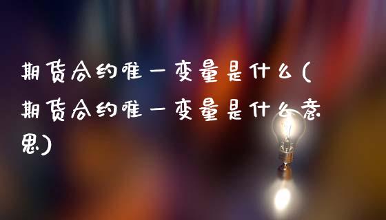 期货合约唯一变量是什么(期货合约唯一变量是什么意思)_https://m.lcpcjs.com_期货交易时间_第1张