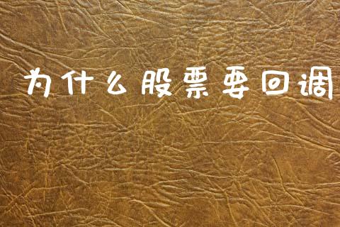 为什么股票要回调_https://m.lcpcjs.com_期货交易时间_第1张