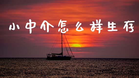 小中介怎么样生存_https://m.lcpcjs.com_期货交易时间_第1张