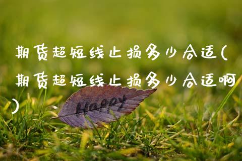 期货超短线止损多少合适(期货超短线止损多少合适啊)_https://m.lcpcjs.com_期货交易_第1张
