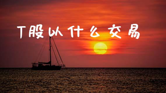 T股以什么交易_https://m.lcpcjs.com_白银期货保证金_第1张