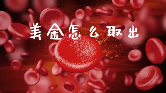 美金怎么取出_https://m.lcpcjs.com_期货交易时间_第1张