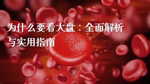 为什么要看大盘：全面解析与实用指南_https://m.lcpcjs.com_期货交易时间_第1张