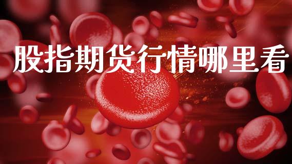 股指期货行情哪里看_https://m.lcpcjs.com_恒指期货保证金_第1张