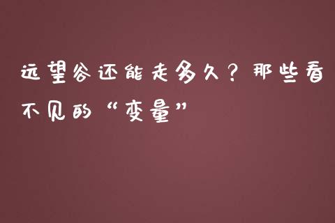远望谷还能走多久？那些看不见的“变量”_https://m.lcpcjs.com_恒指期货保证金_第1张