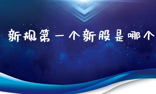 新规第一个新股是哪个_https://m.lcpcjs.com_期货交易时间_第1张