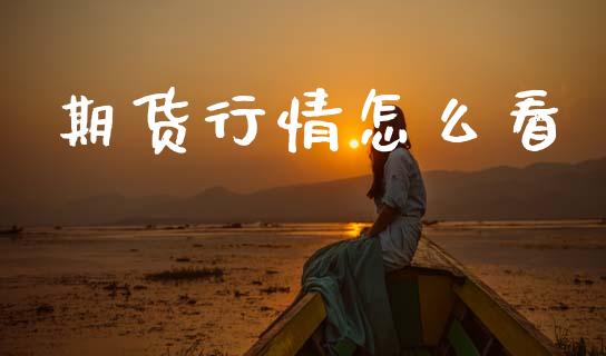 期货行情怎么看_https://m.lcpcjs.com_期货交易时间_第1张