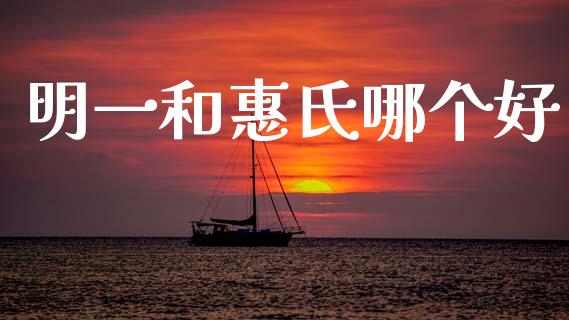 明一和惠氏哪个好_https://m.lcpcjs.com_恒指期货保证金_第1张