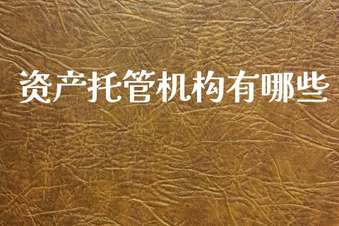资产托管机构有哪些_https://m.lcpcjs.com_期货交易_第1张