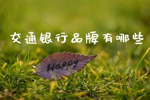 交通银行品牌有哪些_https://m.lcpcjs.com_恒指期货保证金_第1张