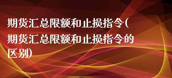 期货汇总限额和止损指令(期货汇总限额和止损指令的区别)_https://m.lcpcjs.com_白银期货保证金_第1张