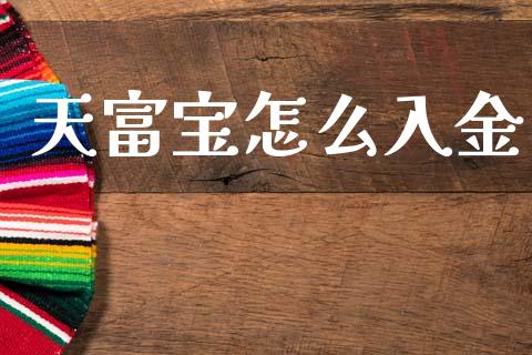 天富宝怎么入金_https://m.lcpcjs.com_期货交易_第1张