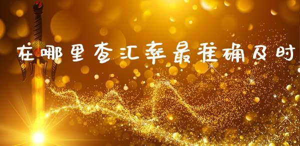在哪里查汇率最准确及时_https://m.lcpcjs.com_恒指期货保证金_第1张
