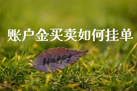 账户金买卖如何挂单_https://m.lcpcjs.com_白银期货保证金_第1张
