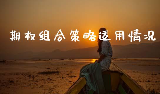 期权组合策略适用情况_https://m.lcpcjs.com_恒指期货保证金_第1张