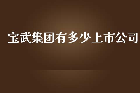 宝武集团有多少上市公司_https://m.lcpcjs.com_恒指期货保证金_第1张