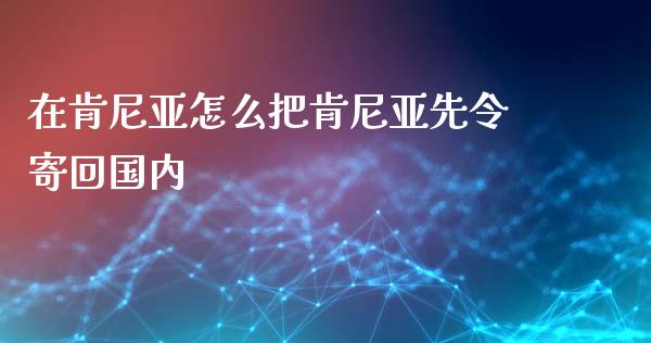 在肯尼亚怎么把肯尼亚先令寄回国内_https://m.lcpcjs.com_期货交易_第1张