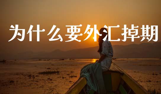 为什么要外汇掉期_https://m.lcpcjs.com_期货交易时间_第1张
