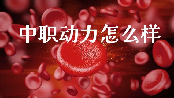中职动力怎么样_https://m.lcpcjs.com_白银期货保证金_第1张