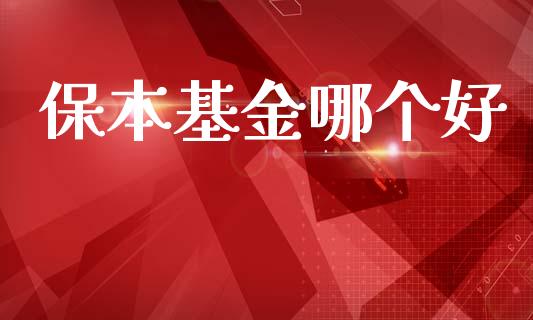 保本基金哪个好_https://m.lcpcjs.com_白银期货保证金_第1张
