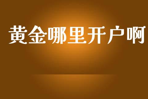 黄金哪里开户啊_https://m.lcpcjs.com_期货交易时间_第1张