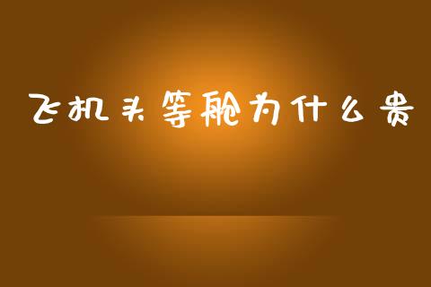 飞机头等舱为什么贵_https://m.lcpcjs.com_白银期货保证金_第1张