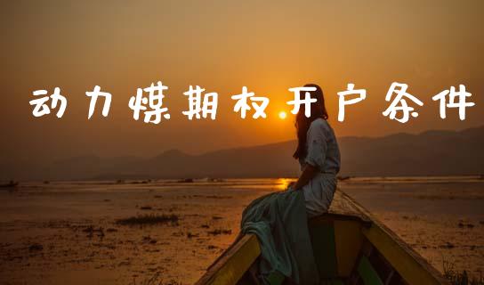 动力煤期权开户条件_https://m.lcpcjs.com_白银期货保证金_第1张