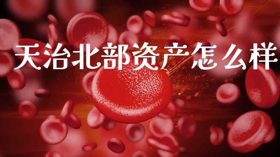 天治北部资产怎么样_https://m.lcpcjs.com_白银期货保证金_第1张