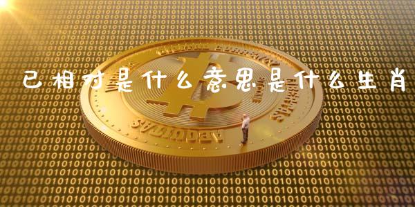 已相对是什么意思是什么生肖_https://m.lcpcjs.com_白银期货保证金_第1张