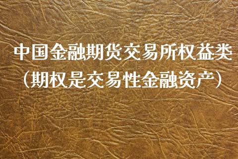 中国金融期货交易所权益类（期权是交易性金融资产）_https://m.lcpcjs.com_期货交易时间_第1张