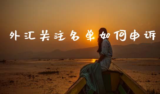 外汇关注名单如何申诉_https://m.lcpcjs.com_白银期货保证金_第1张