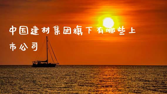 中国建材集团旗下有哪些上市公司_https://m.lcpcjs.com_期货交易_第1张