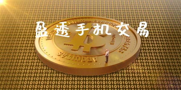 盈透手机交易_https://m.lcpcjs.com_期货交易时间_第1张