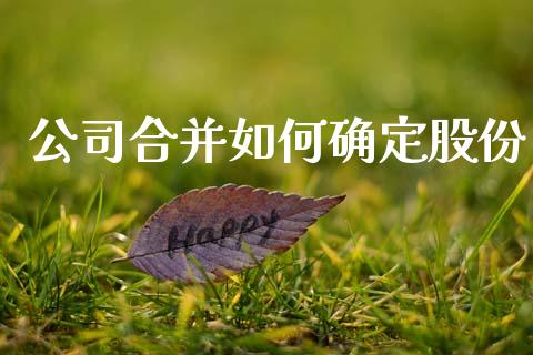 公司合并如何确定股份_https://m.lcpcjs.com_白银期货保证金_第1张