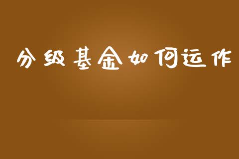 分级基金如何运作_https://m.lcpcjs.com_期货交易_第1张