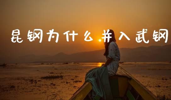 昆钢为什么并入武钢_https://m.lcpcjs.com_期货交易时间_第1张