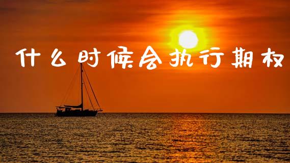 什么时候会执行期权_https://m.lcpcjs.com_期货交易_第1张