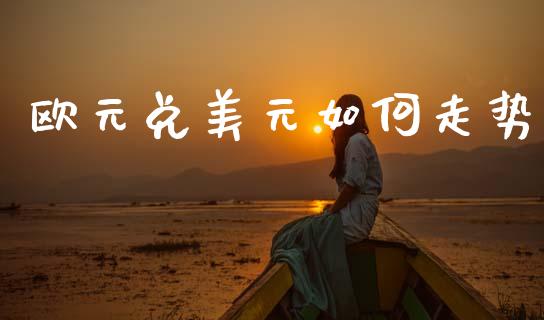 欧元兑美元如何走势_https://m.lcpcjs.com_期货交易_第1张