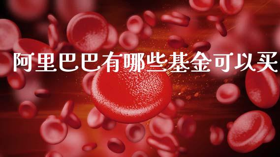 阿里巴巴有哪些基金可以买_https://m.lcpcjs.com_期货交易_第1张