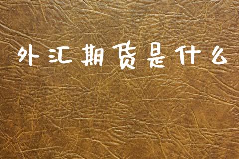外汇期货是什么_https://m.lcpcjs.com_恒指期货保证金_第1张