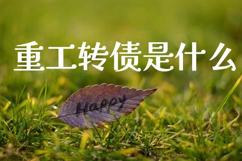 重工转债是什么_https://m.lcpcjs.com_期货交易_第1张
