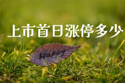 上市首日涨停多少_https://m.lcpcjs.com_期货交易时间_第1张