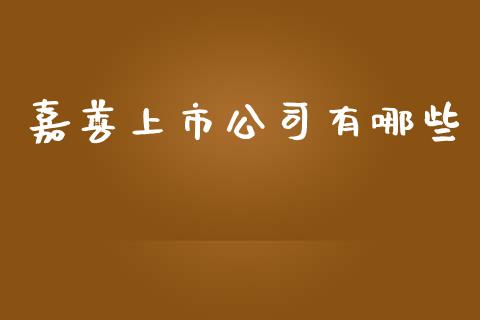 嘉善上市公司有哪些_https://m.lcpcjs.com_期货交易_第1张