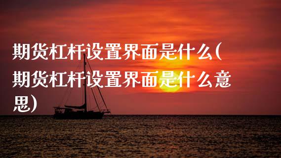 期货杠杆设置界面是什么(期货杠杆设置界面是什么意思)_https://m.lcpcjs.com_期货交易时间_第1张